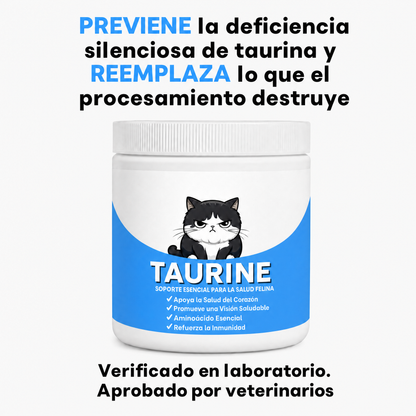 Taurina para gatos – Cuida el corazón y la vista de tu gato